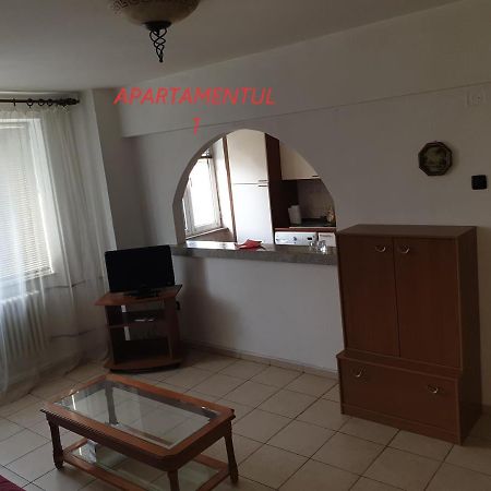 Apartament Cu 2 Camere,Ultracentral In Арад Экстерьер фото