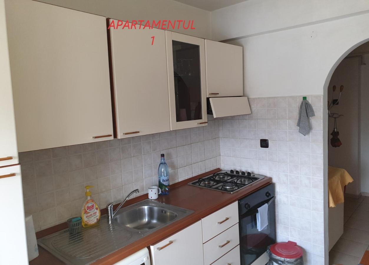 Apartament Cu 2 Camere,Ultracentral In Арад Экстерьер фото
