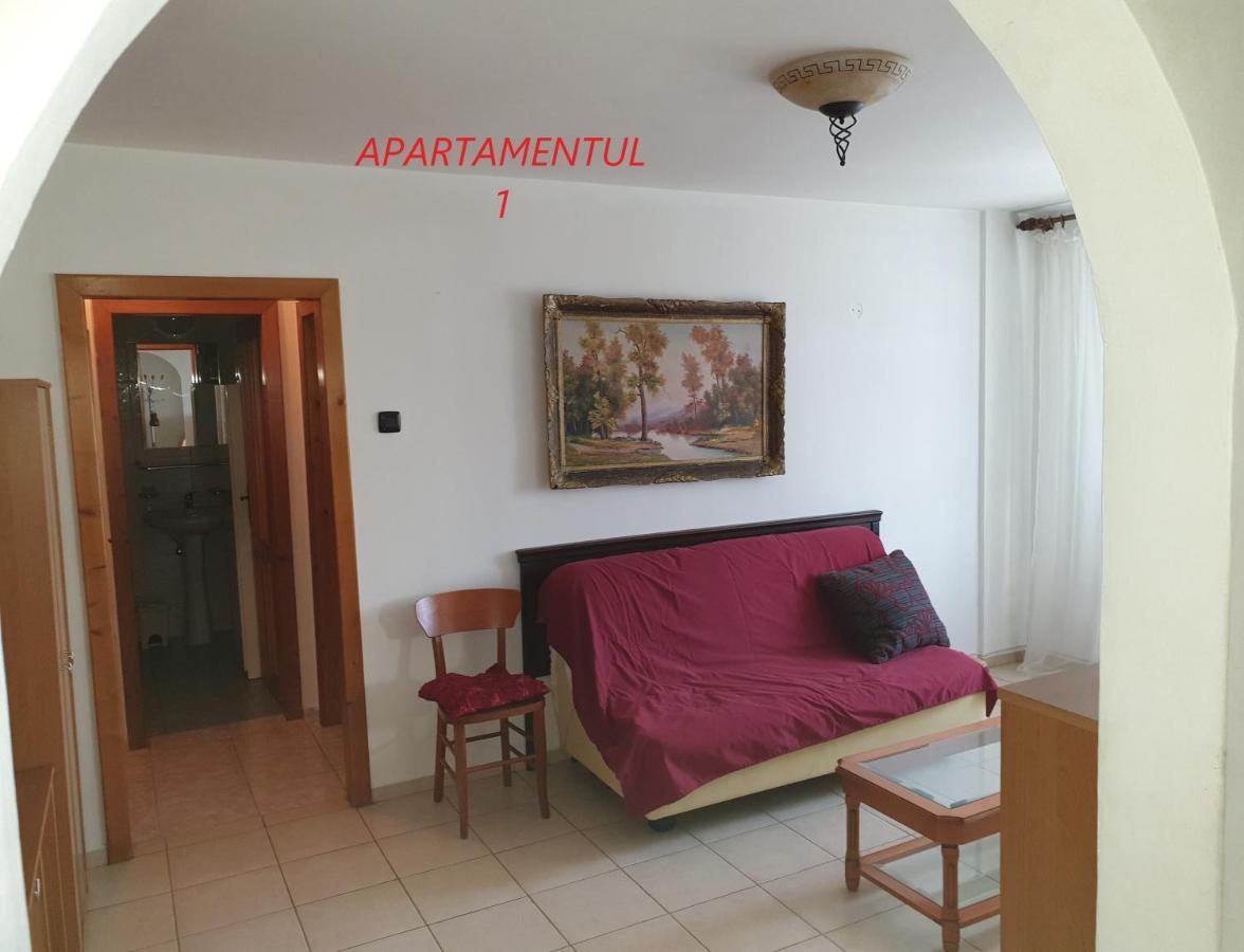 Apartament Cu 2 Camere,Ultracentral In Арад Экстерьер фото