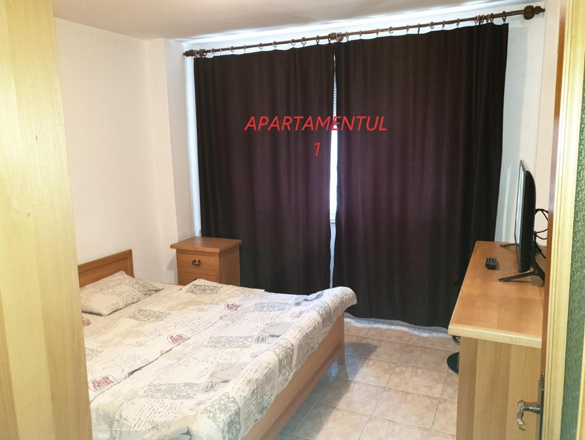 Apartament Cu 2 Camere,Ultracentral In Арад Экстерьер фото