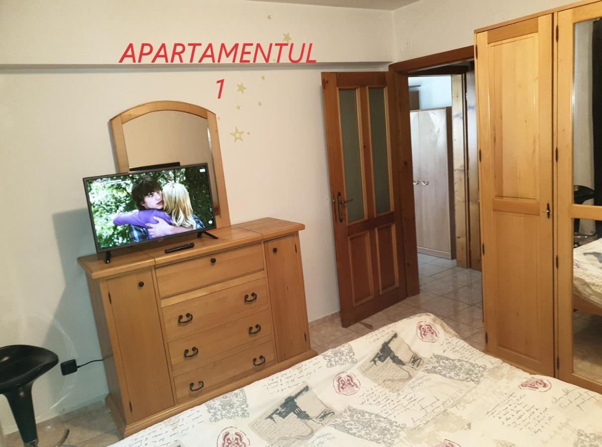 Apartament Cu 2 Camere,Ultracentral In Арад Экстерьер фото
